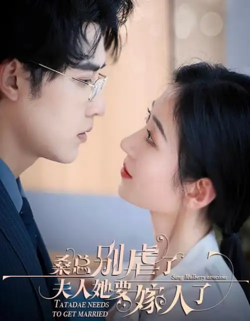 云上之城热播电视剧全集在线观看